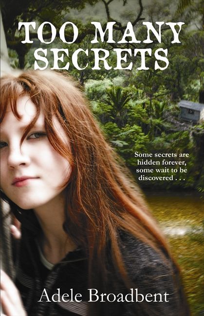 Too Many Secrets Book Review Cover