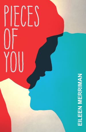 Pieces of You Book Review Cover