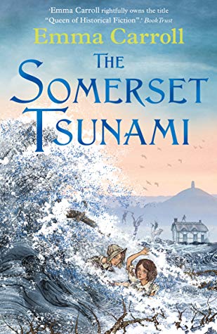 The Somerset Tsunami - Book Review - What Book Next.com