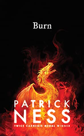 Burn Book Review Cover