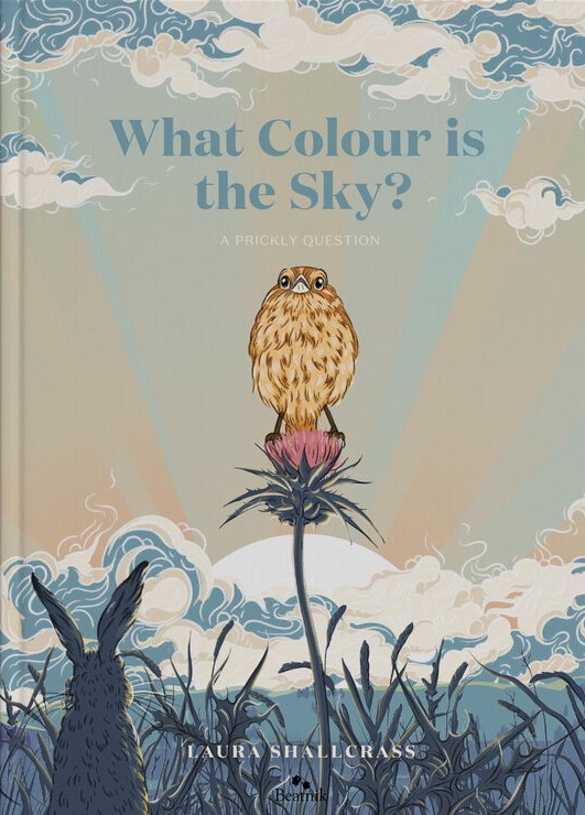 What Colour is the Sky? Book Review Cover