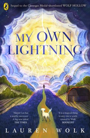 My Own Lightning Book review Cover