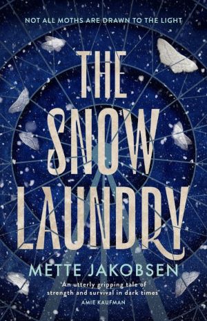 The Snow Laundry Book Review Cover