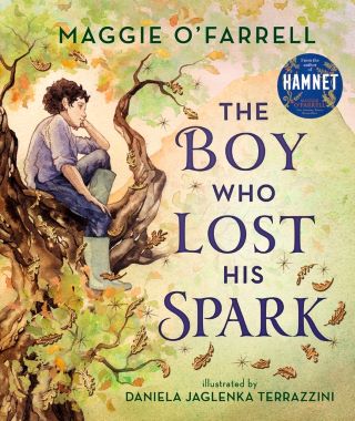 The Boy Who Lost His Spark Book Review Cover