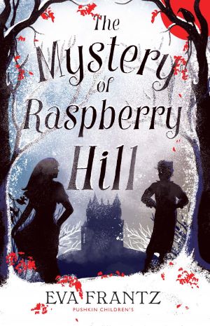 The Mystery of Raspberry Hill Book Review Cover