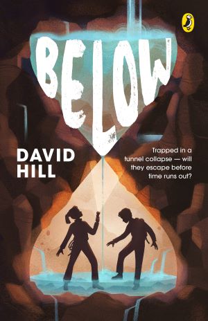 Below Book Review Cover