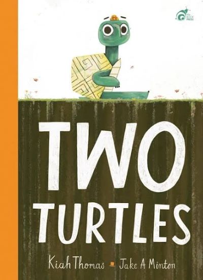 Two Turtles Book Review Cover