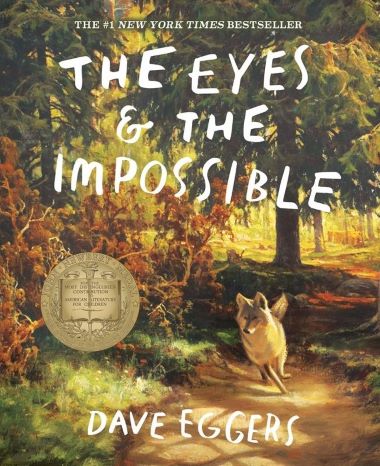 The Eyes & The Impossible Book Review Cover